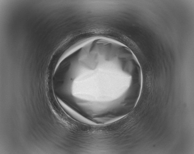 X0000082680730200702161657