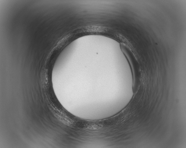 X0000082680731200702161657