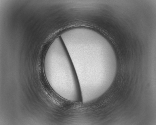 X0000082680732200702161657