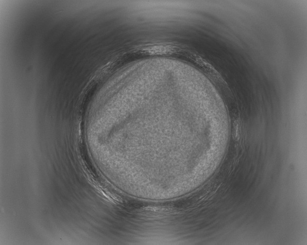 X0000082680733200702161657