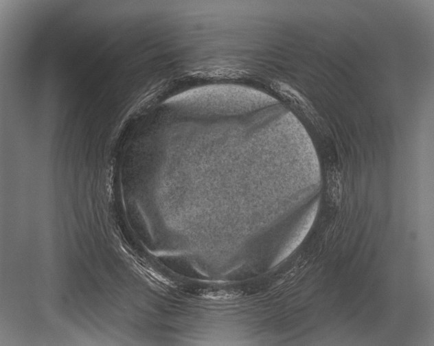 X0000082680735200702161657