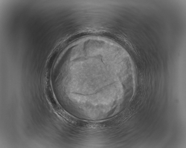 X0000082680736200702161657