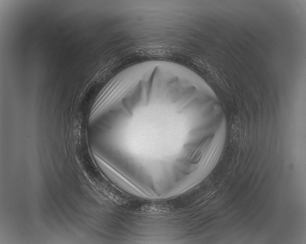 X0000082680739200702161657