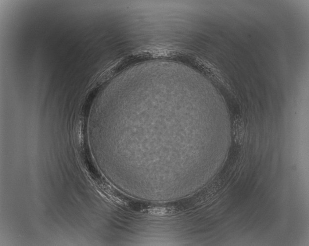 X0000082680740200702161657