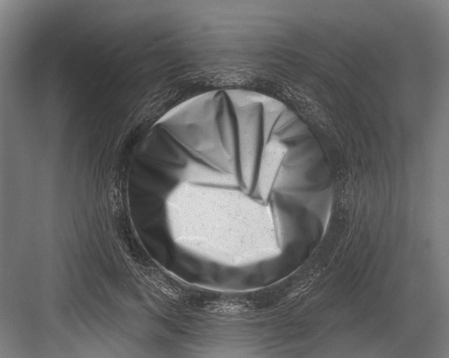 X0000082680743200702161658