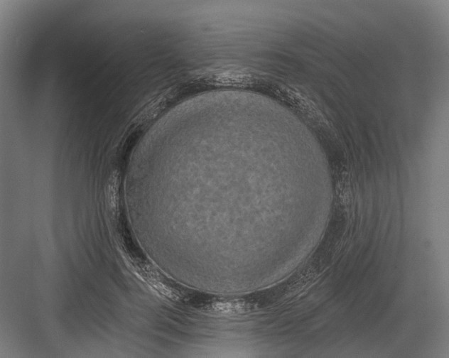 X0000082680744200702161658