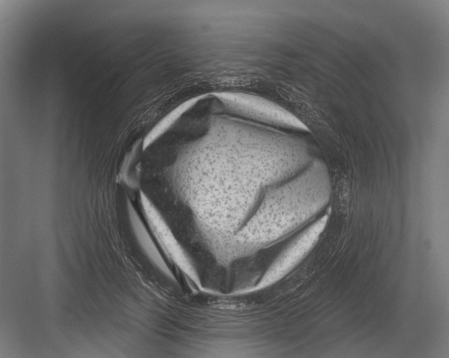 X0000082680746200702161658