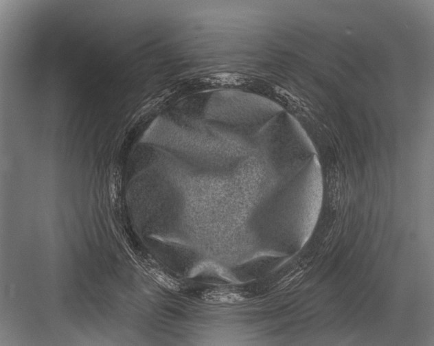 X0000082680747200702161658