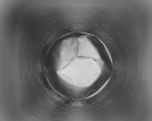 X0000082680751200702161658