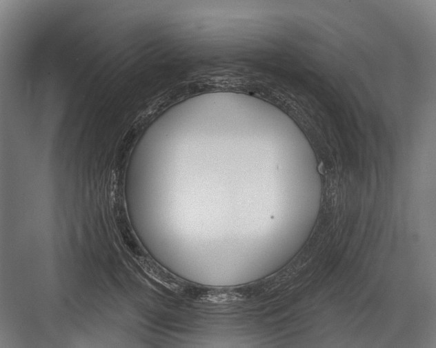 X0000082680752200702161658