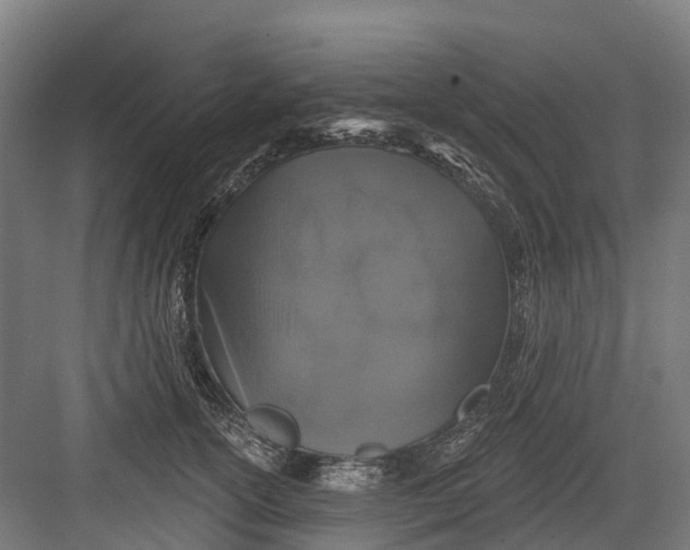 X0000082680754200702161658