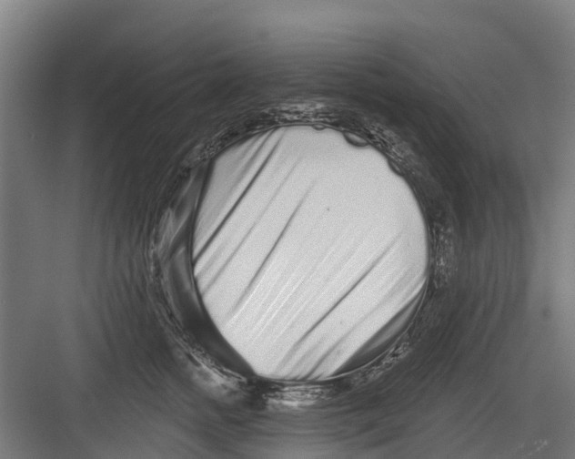 X0000082680758200702161658