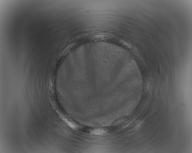 X0000082680759200702161658