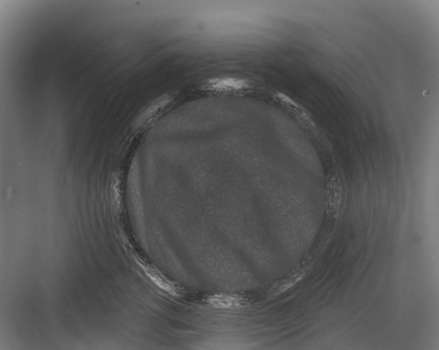 X0000082680762200702161658