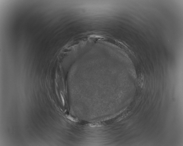 X0000082680763200702161658