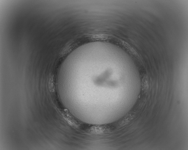 X0000082680764200702161658