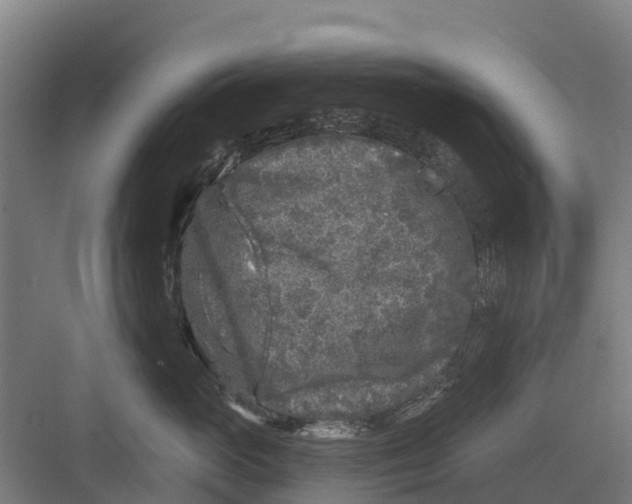 X0000082680765200702161658