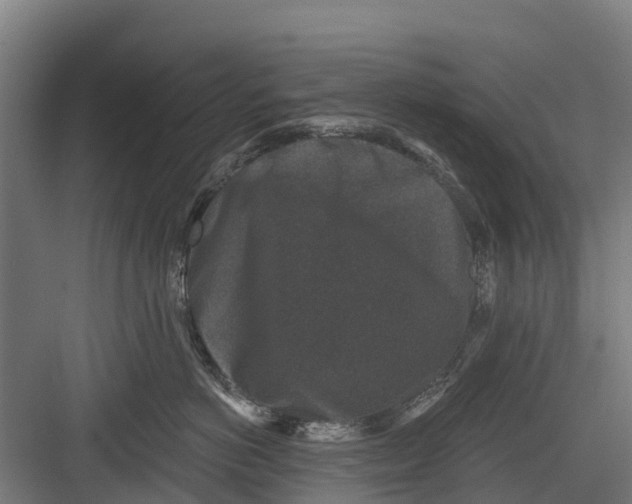 X0000082680766200702161658