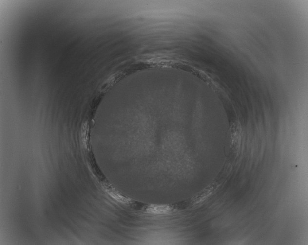 X0000082680767200702161658