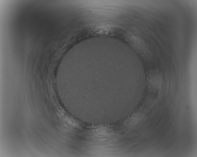 X0000082680769200702161657