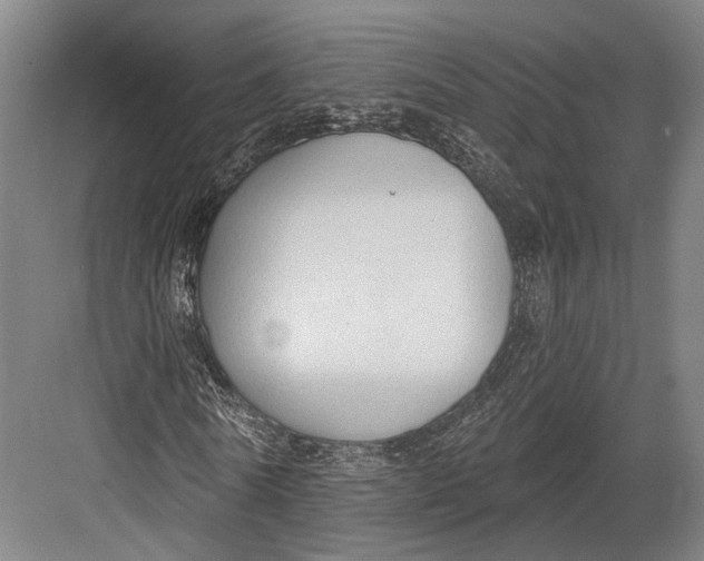 X0000082680770200702161657