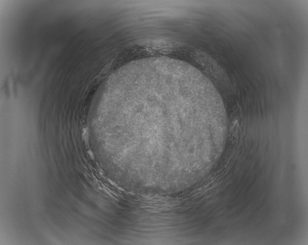 X0000082680772200702161657