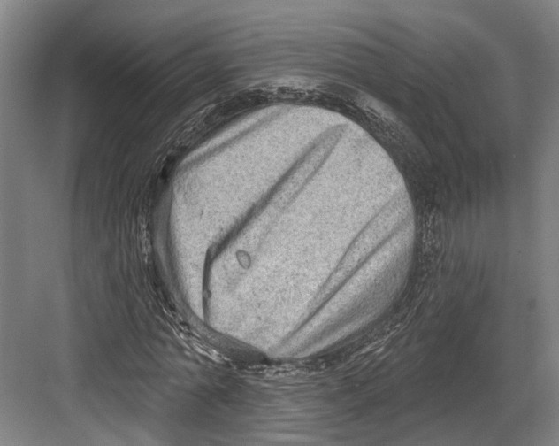 X0000082680774200702161657