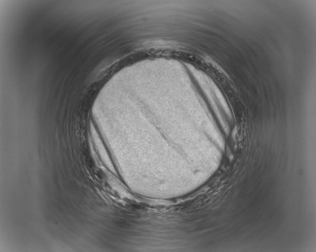 X0000082680775200702161657