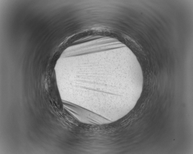 X0000082680776200702161657