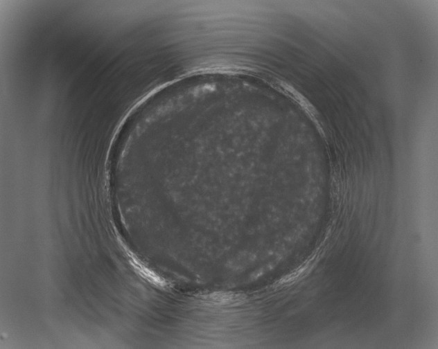 X0000082680779200702161657