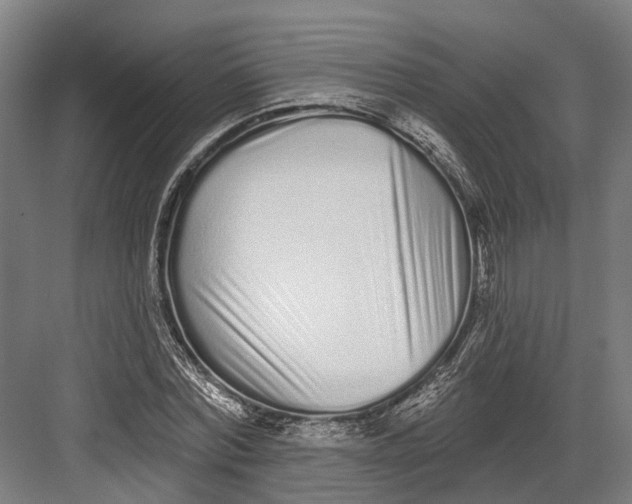 X0000082680780200702161657