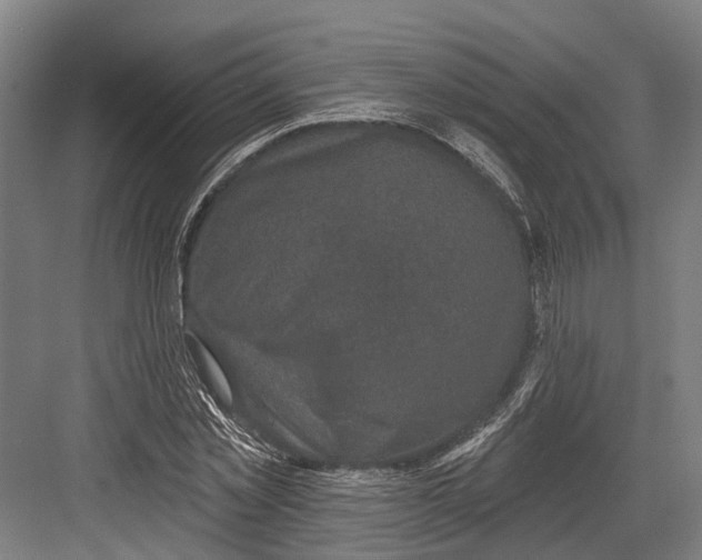 X0000082680781200702161657