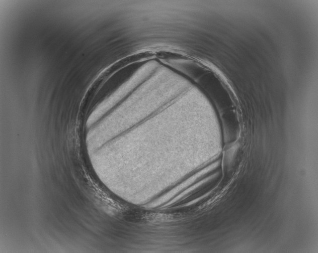 X0000082680783200702161657