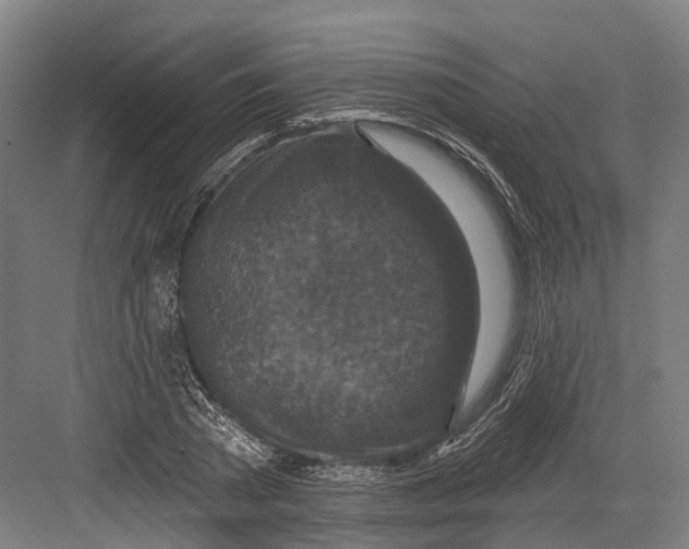 X0000082680785200702161657