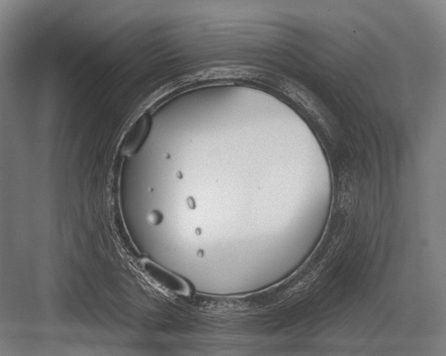 X0000082680786200702161657