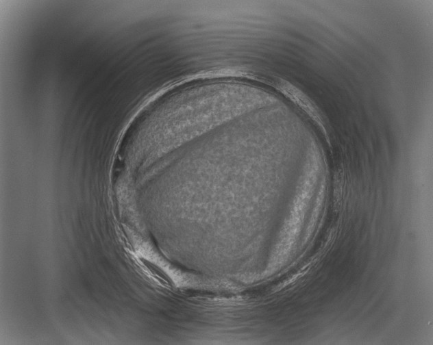 X0000082680789200702161657