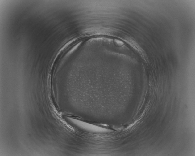 X0000082680790200702161657