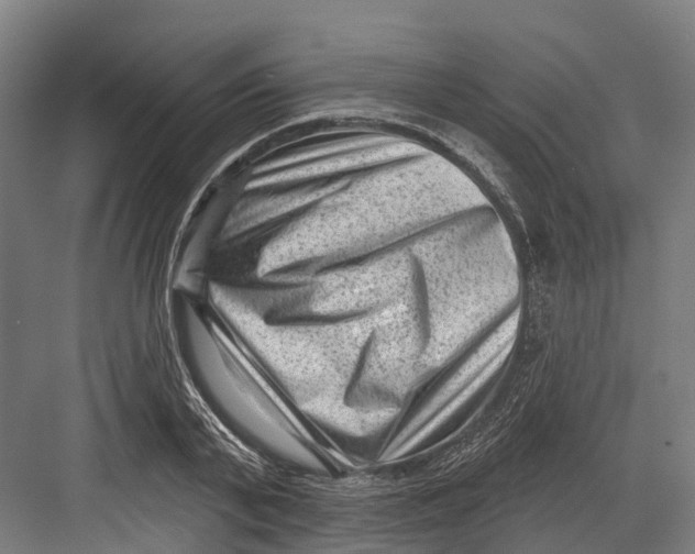 X0000082680791200702161657