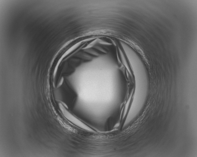 X0000082680792200702161657