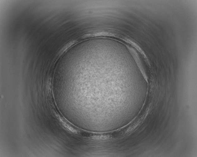 X0000082680793200702161657