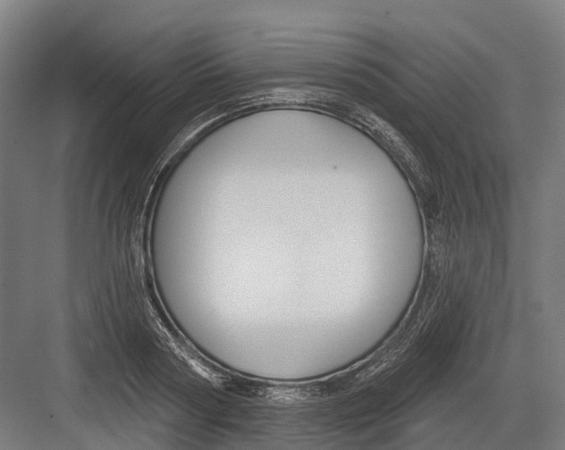 X0000082680794200702161657