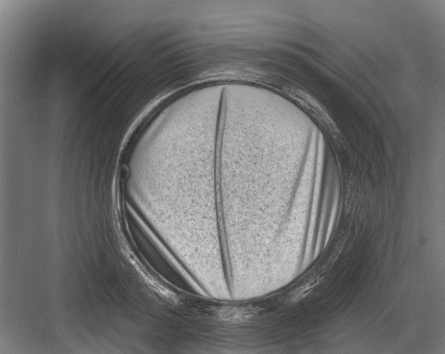 X0000082680796200702161657