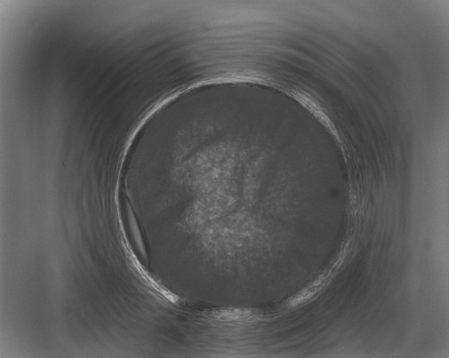 X0000082680797200702161657