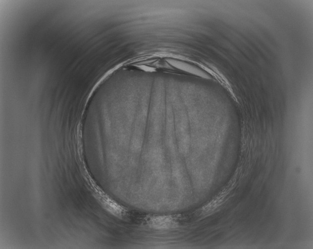 X0000082680798200702161657