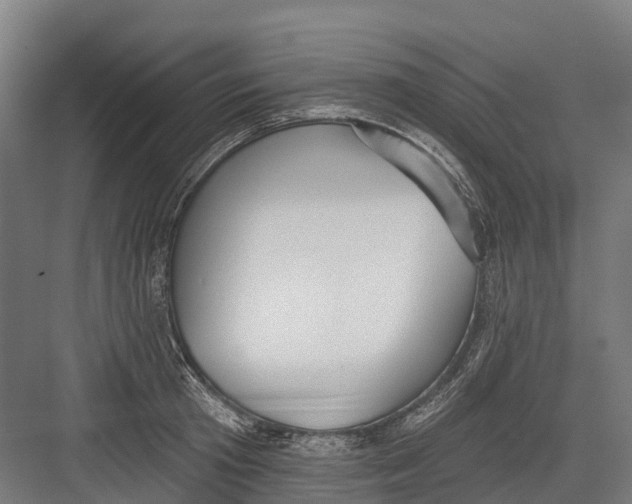 X0000082680801200702161657