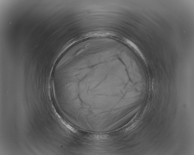 X0000082680802200702161657