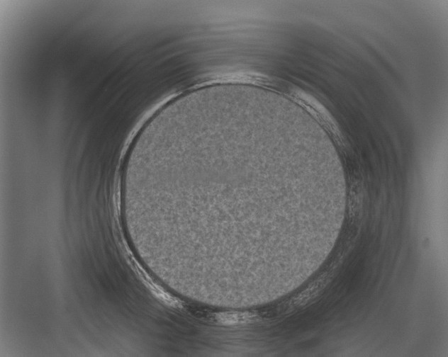 X0000082680804200702161657