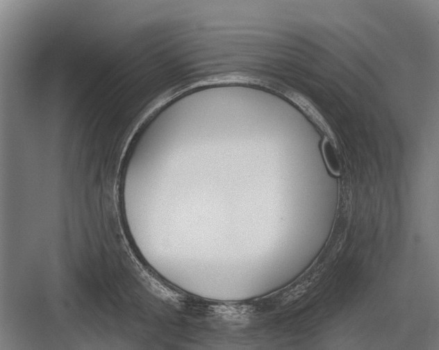 X0000082680805200702161657