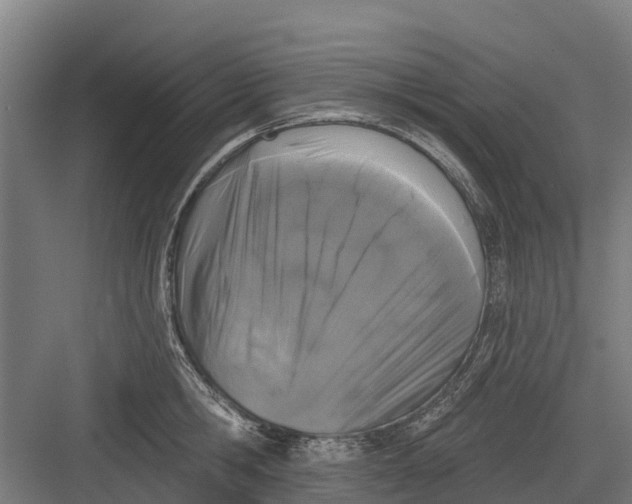 X0000082680806200702161657