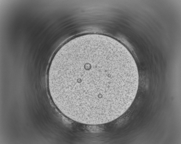 X0000082680807200702161656